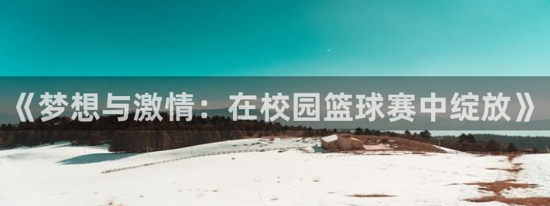 《梦想与激情：在校园篮球赛中绽放》
