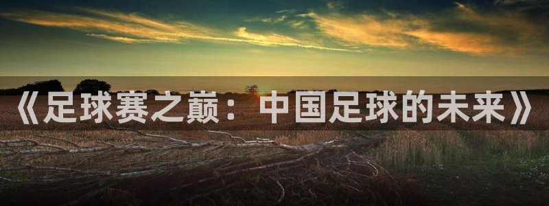 《足球赛之巅：中国足球的未来》