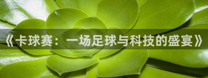 《卡球赛：一场足球与科技的盛宴》