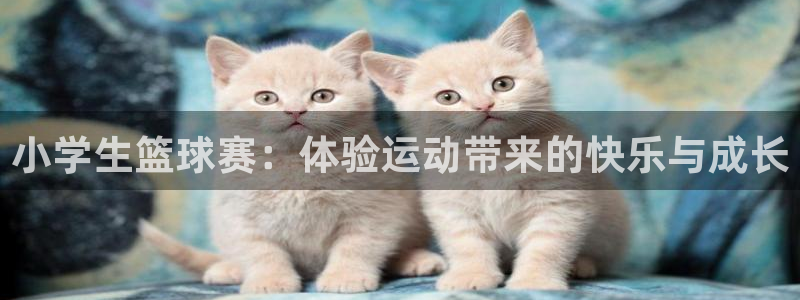 小学生篮球赛：体验运动带来的快乐与成长