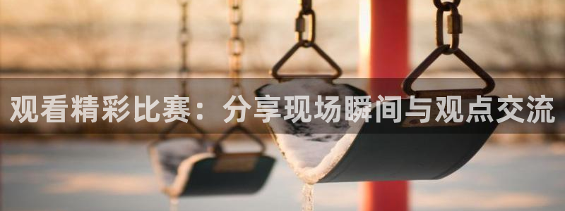 观看精彩比赛：分享现场瞬间与观点交流