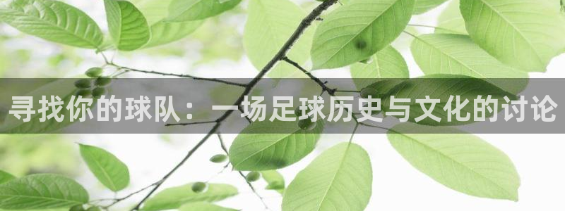 寻找你的球队：一场足球历史与文化的讨论
