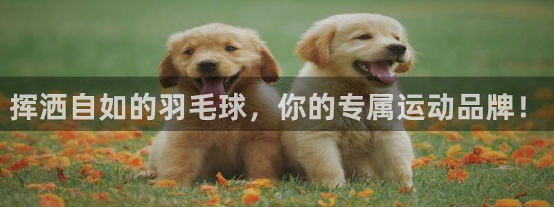 米兰体育官网：挥洒自如的羽毛球，你的专属运动品牌！
