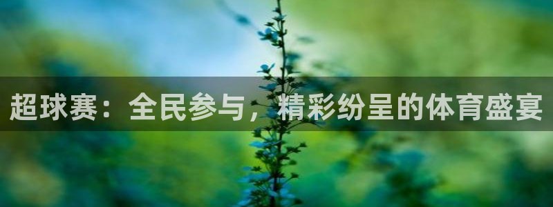米兰体育场叫什么名字来着：超球赛：全民参与，精彩纷呈的体育盛