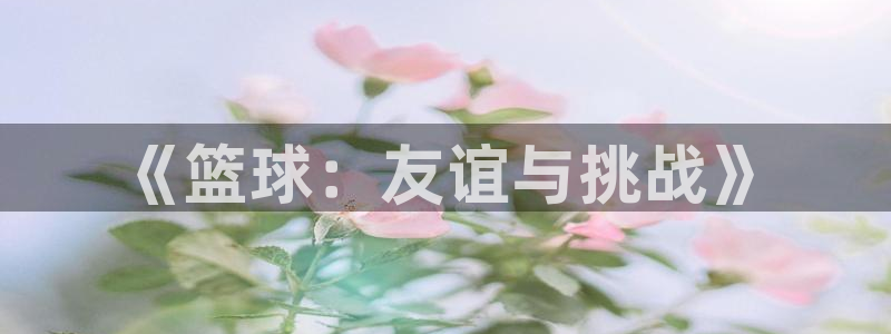 米兰体育平台：《篮球：友谊与挑战》