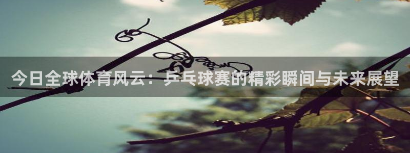 米兰体育欧洲杯：今日全球体育风云：乒乓球赛的精彩瞬间与未来展