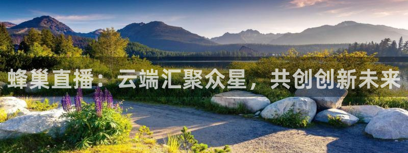 河豚足球比赛直播
