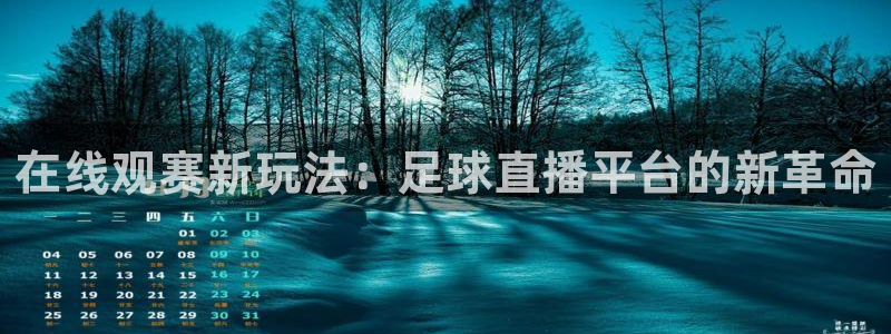 河豚nba直播