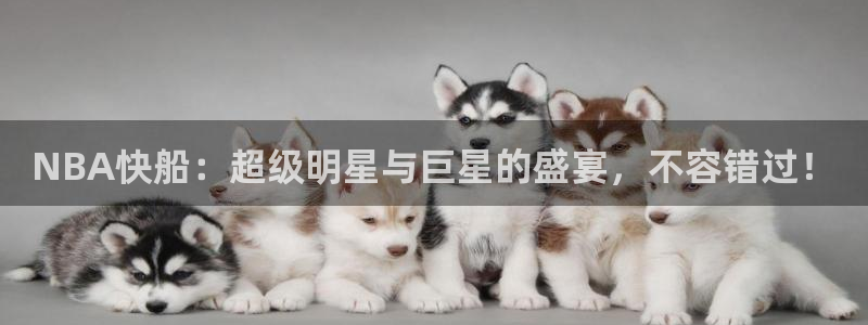 河豚nba直播比赛