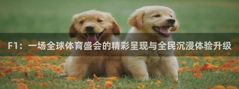 河豚看球：F1：一场全球体育盛会的精彩呈现与全民沉浸体验升级