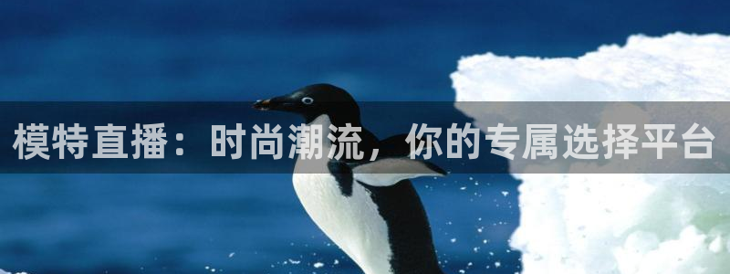 河豚体育直播app官网下载：模特直播：时尚潮流，你的专属选择平台
