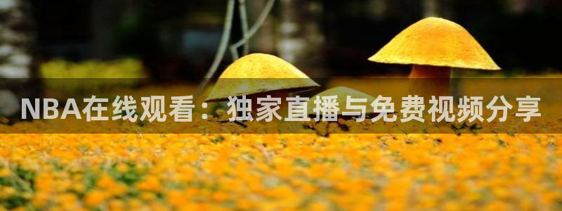 河豚搞笑：NBA在线观看：独家直播与免费视频分享