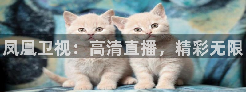 河豚体育直播免费：凤凰卫视：高清直播，精彩无限
