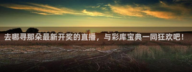 河豚体育篮球直播：去哪寻那朵最新开奖的直播，与彩库宝典一同狂欢吧！