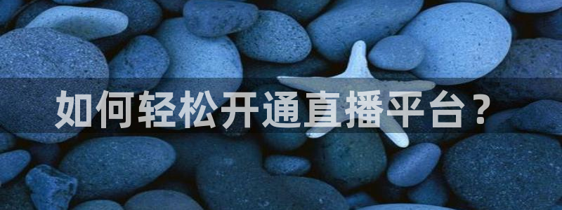 河豚河豚：如何轻松开通直播平台？